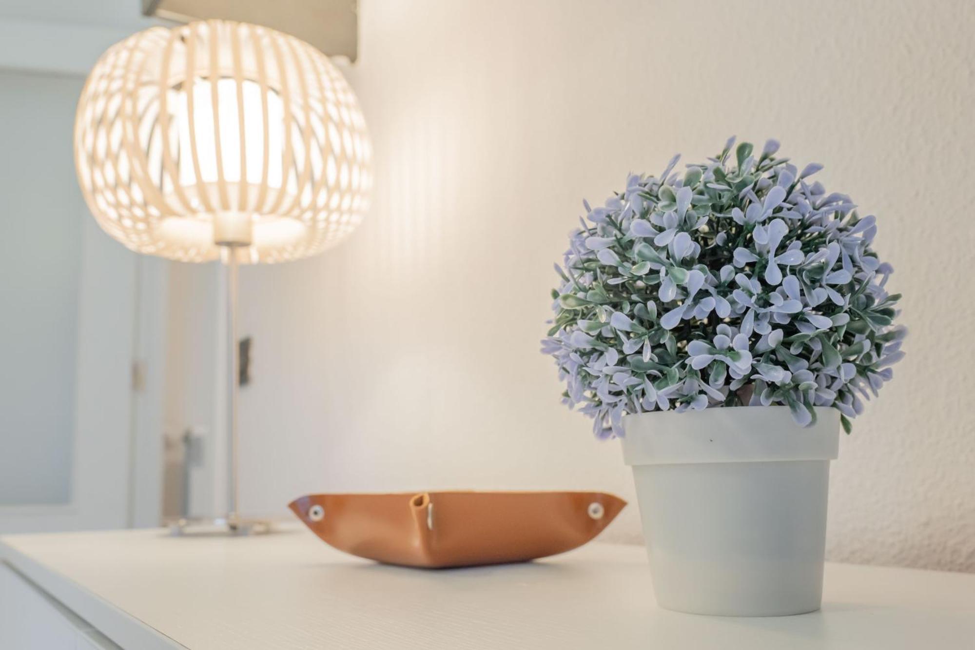 Apartmán Nabucco Oviedo Exteriér fotografie